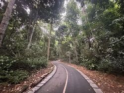 Blk 316C Yishun Greenwalk (Yishun), HDB 4 Rooms #549140421